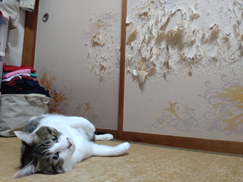 襖をボロボロにした犯人