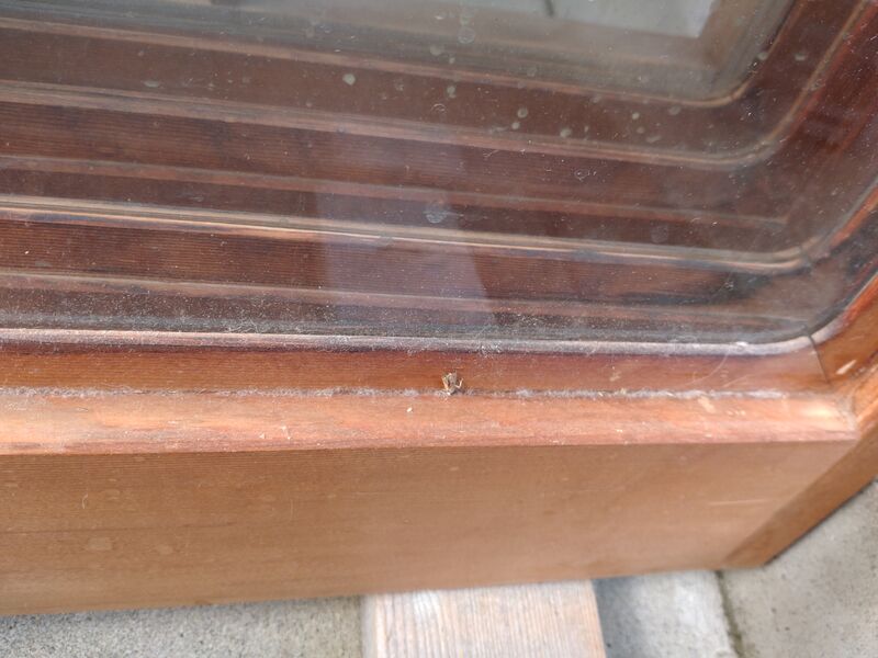 猫間障子ビフォー